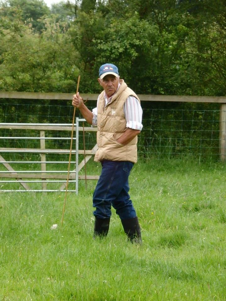 Roy Sage in grassy pasture holding a stock stick